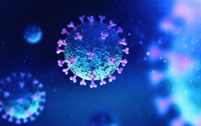 Posibles intervenciones para nuevo coronavirus en China: una revisión sistemática
