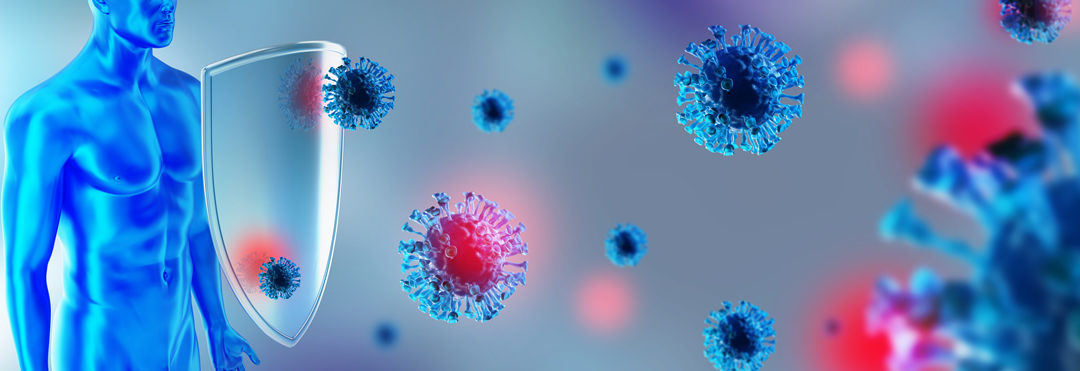 Una revisión de micronutrientes y sistema inmune: trabajar en armonía para reducir el riesgo de infección