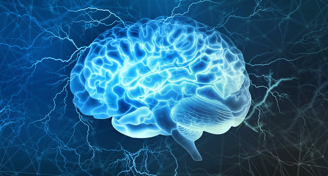 La ingesta de 7 aminoácidos esenciales mejora la función cognitiva, psicológica y social en adultos de mediana edad y mayores