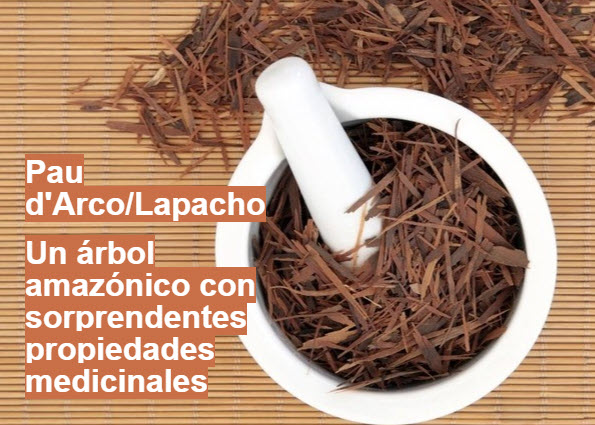 Descubre el secreto de la naturaleza para combatir las infecciones, el Lapacho