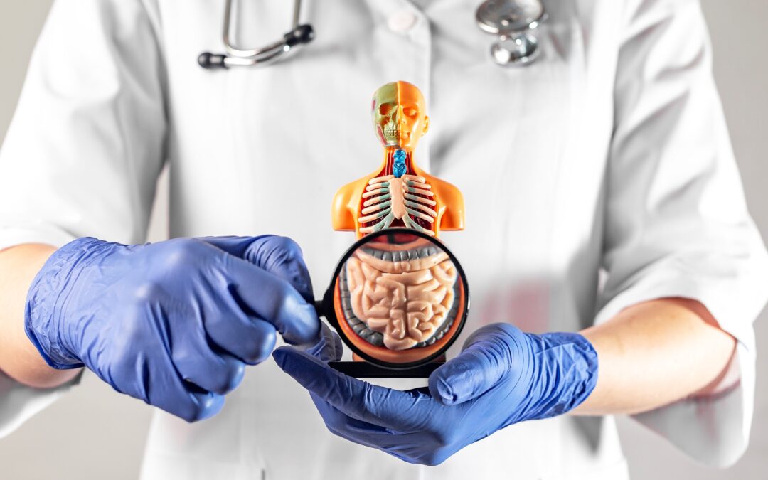 Disbiosis y Permeabilidad Intestinal