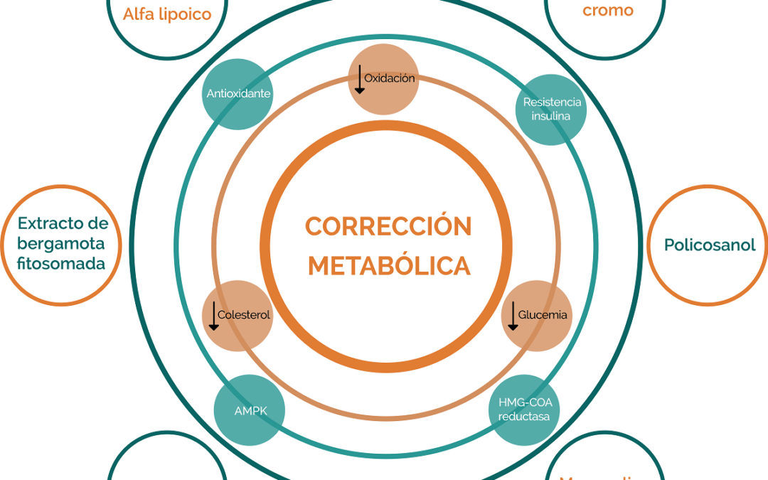 Equisalud Novedades Noviembre 2021