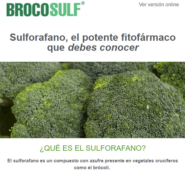 Descubre el sulforafano, el potente fitofármaco para el detox y la inflamación