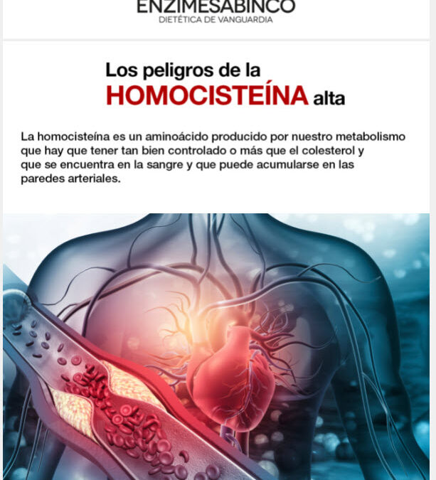 Los peligros de la homocistéina alta