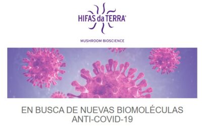 Buscamos biomoléculas anti19 en los hongos medicinales
