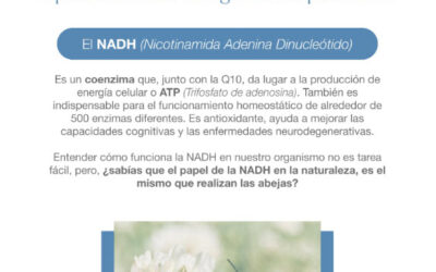 NADH: Definición y beneficios para la salud de tu paciente