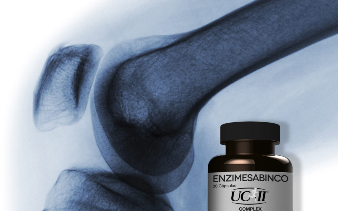 Producto a base de colágeno UCII®