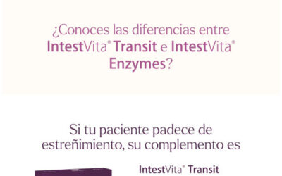 Descubre las diferencias entre IntestVita Transit e IntestVita Enzymes