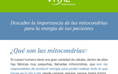 Descubre la importancia de las mitocondrias para la energía de tus pacientes