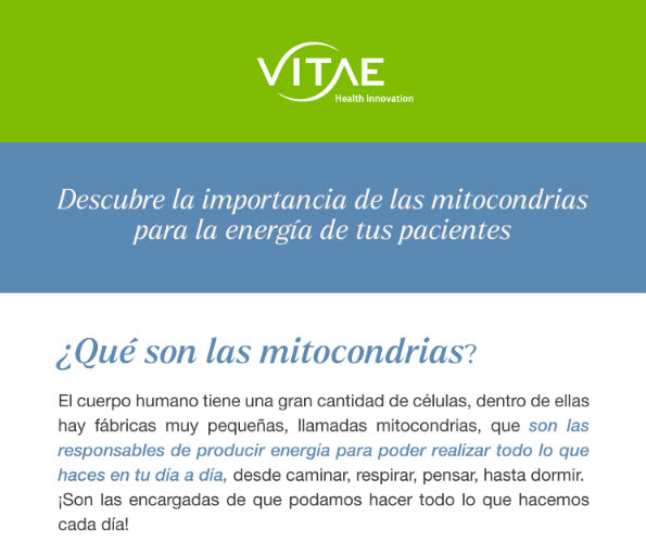 Descubre la importancia de las mitocondrias para la energía de tus pacientes