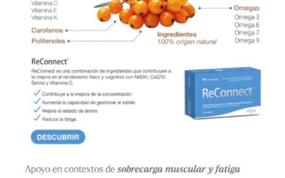 Conoce los mejores aliados para la época de exámenes y astenia primaveral