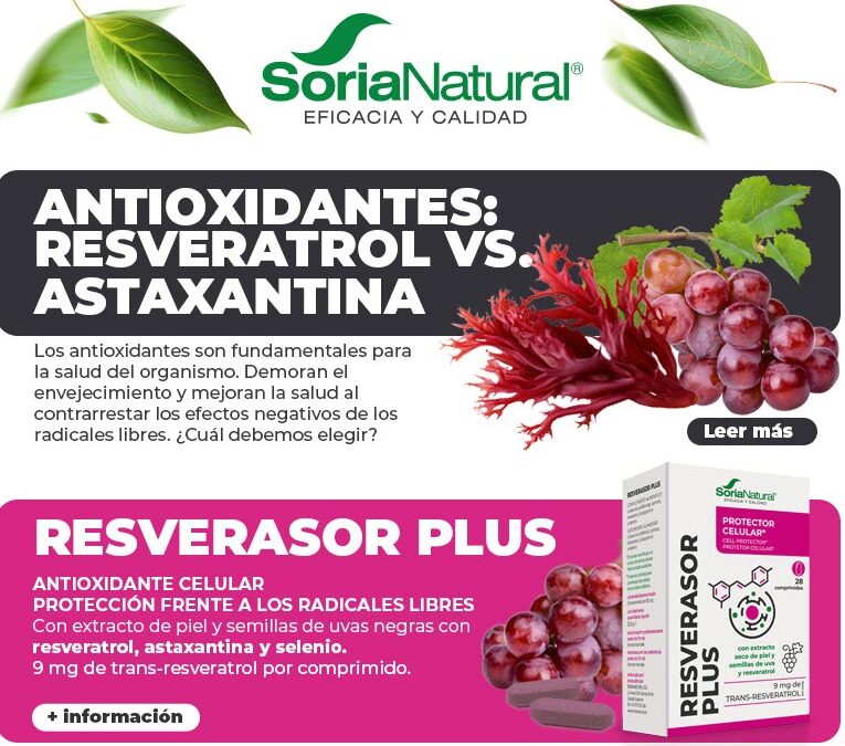 Antienvejecimiento y salud celular 🍇​ el poder de los antioxidantes 🧬