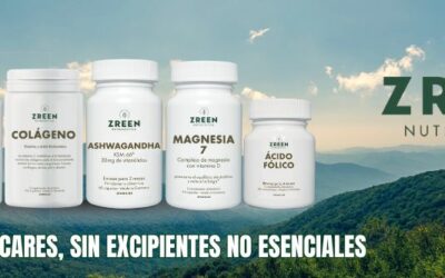 Septiembre avanza rápido, y queremos compartir contigo… ZREEN 🚀