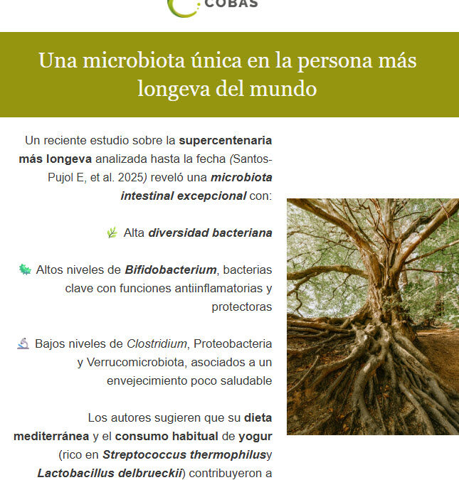 Bifidobacterias: la clave microbiana de la longevidad