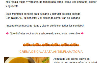 Recetas otoñales para nutrir cuerpo y mente 🌰