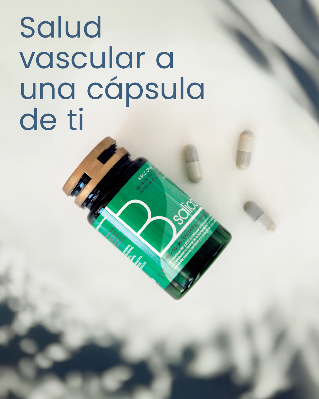 154-bsalicornia salud vascular.jpg