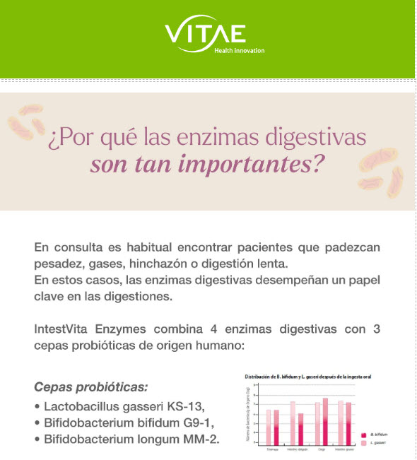 ¿Por qué las enzimas digestivas son tan importantes?