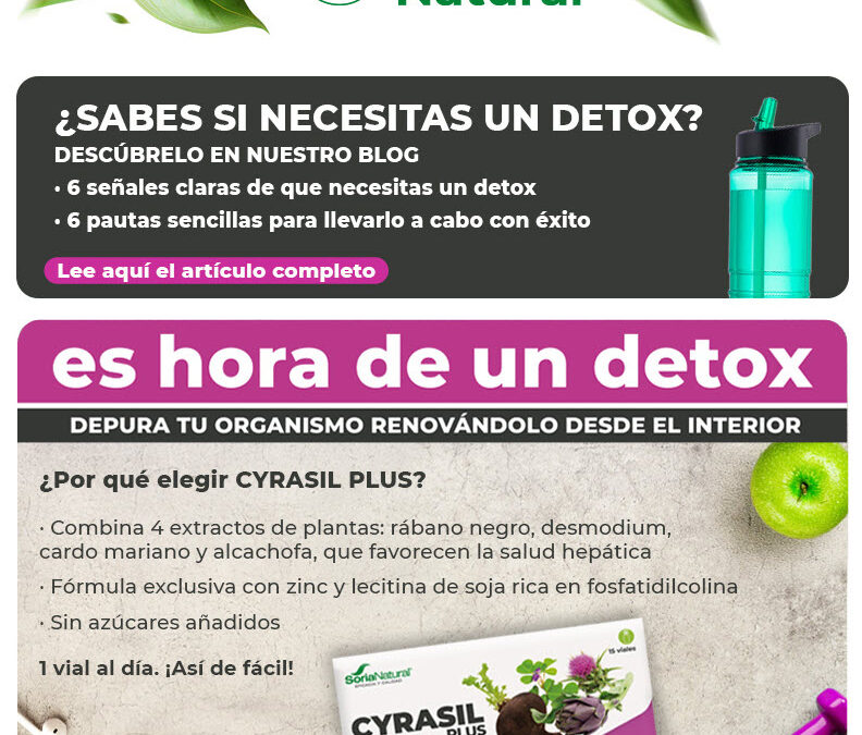 Plan detox 15 días 💜​💚 descarga tu guía