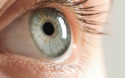 ¡Novedad! 👁 OlioVita Vision: Nutrición e hidratación ocular