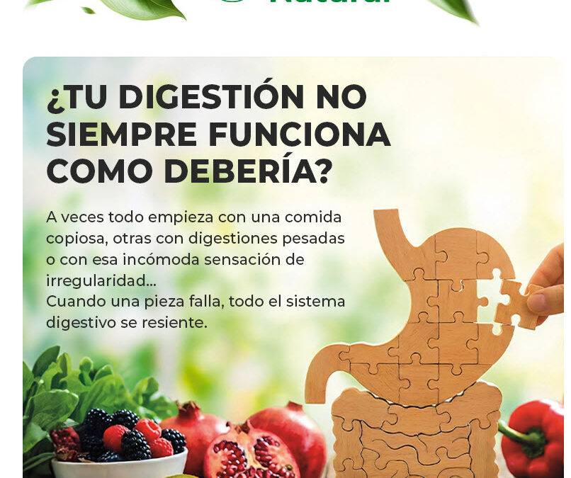 Digestión en equilibrio 🧩 soluciones naturales para tu día a día