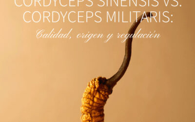 Diferencias entre Cordyceps sinensis y Cordyceps militaris y por qué solo uno está autorizado