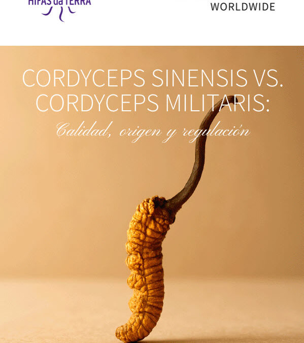 Diferencias entre Cordyceps sinensis y Cordyceps militaris y por qué solo uno está autorizado