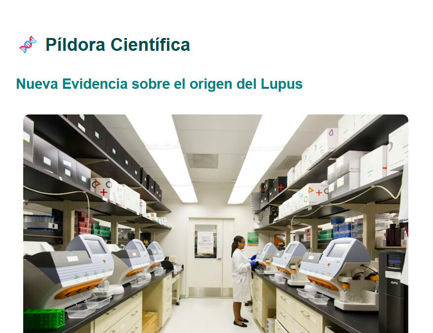 KeyBiological – Píldora Científica – Lupus y Epstein-Barr