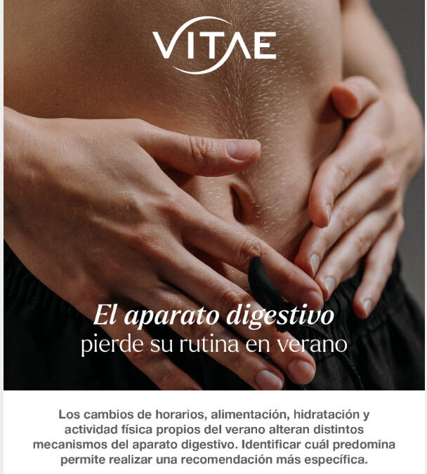 Digestión, tránsito o irritación: los 3 mecanismos que se alteran en verano