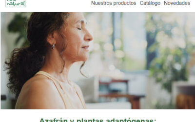 Esto necesitas para tu vuelta a la rutina