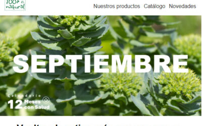 Imprescindibles de septiembre / Calendario 12 meses con salud