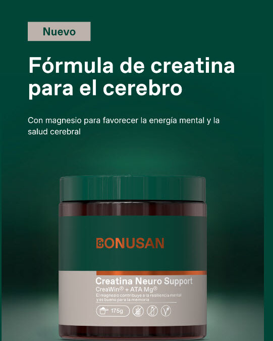 Creatina Neuro Support: nueva fórmula